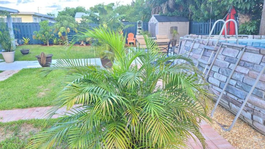 Palm Springs 3-Bedroom 2-Bath 5 Miles To The Beach เลกเวิร์ท ภายนอก รูปภาพ